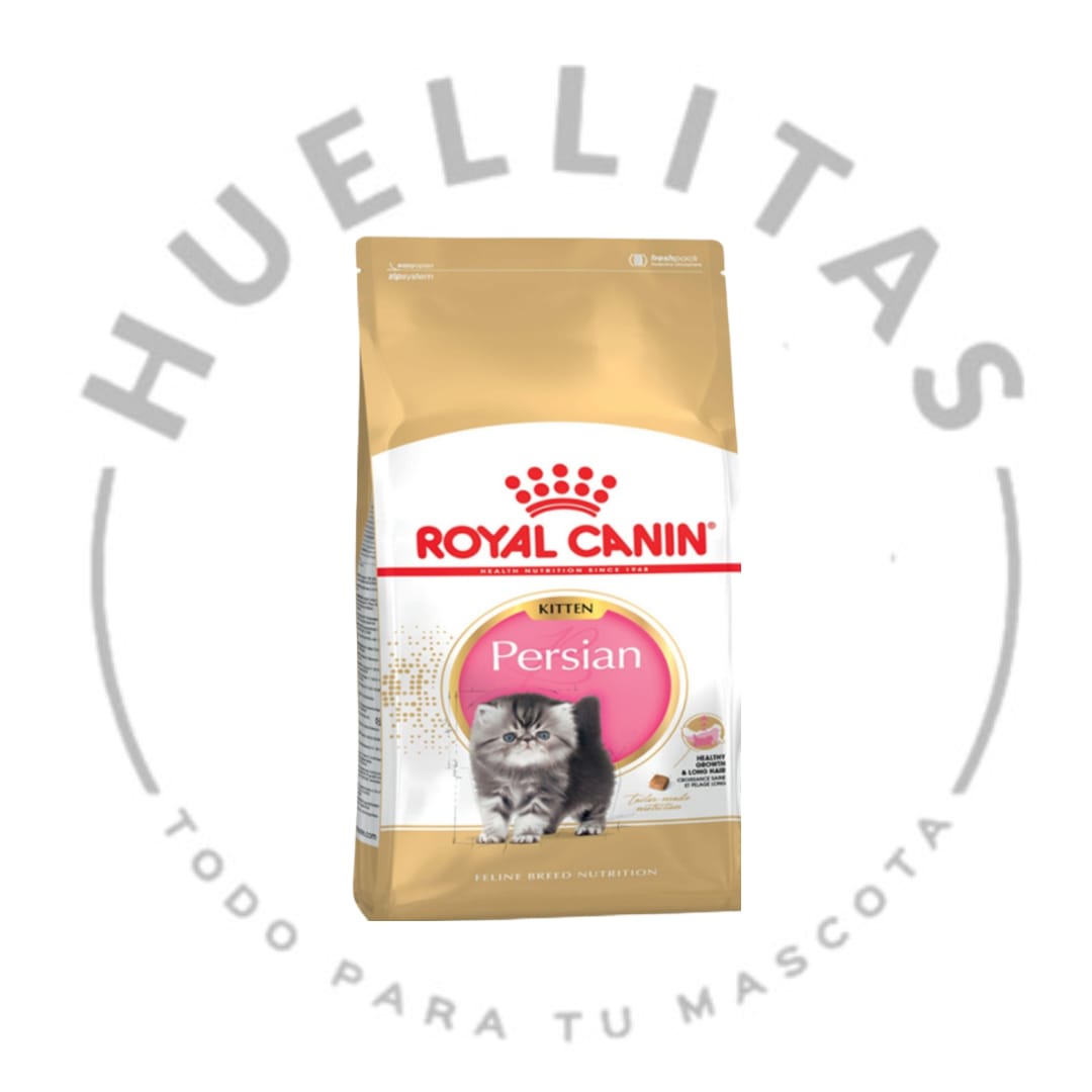 WhatsApp Image 2024-01-10 at 13.50.00 (1)