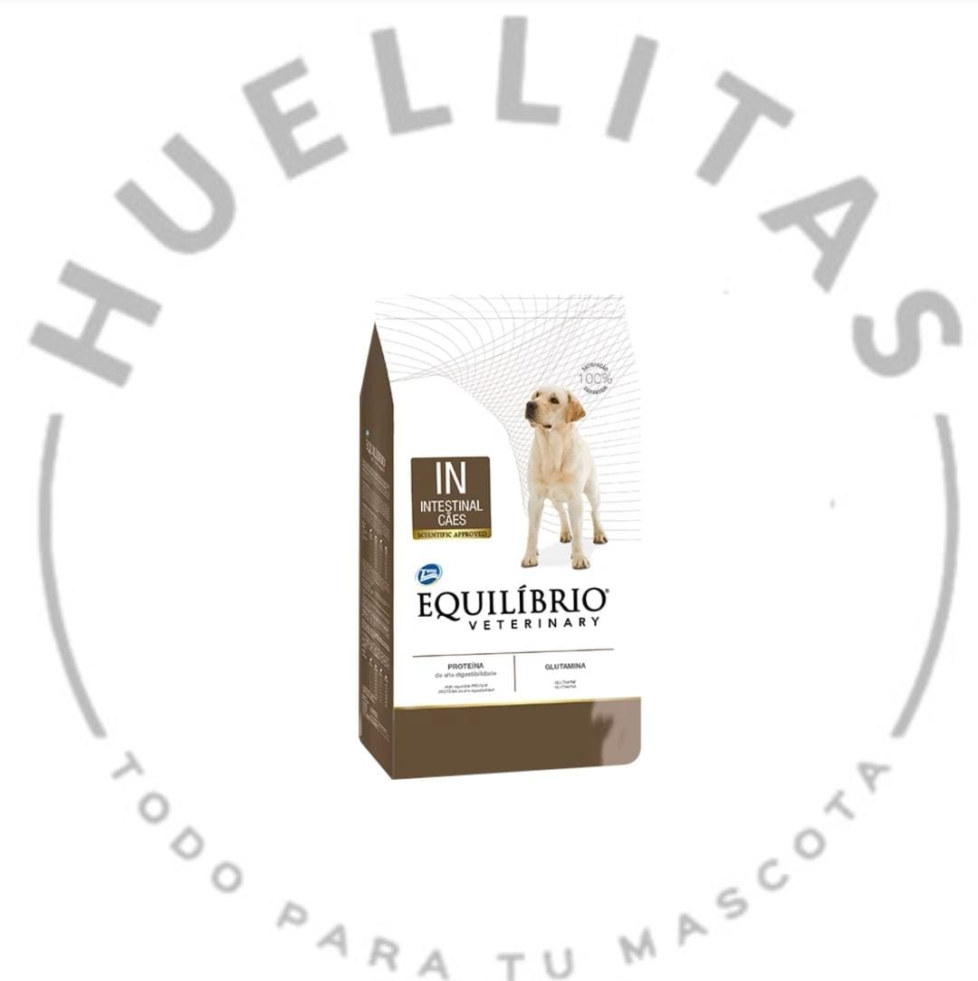 WhatsApp Image 2024-11-12 at 09.53.41 (1)