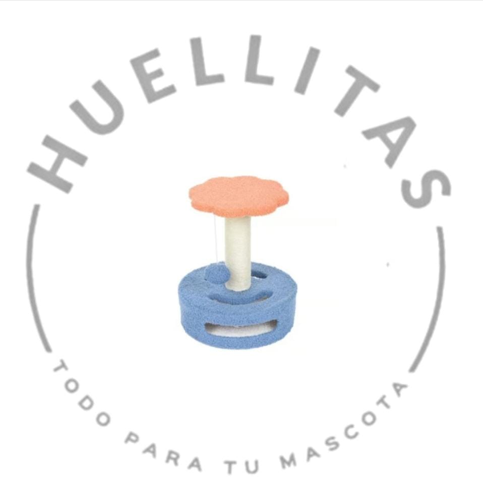 WhatsApp Image 2025-05-29 at 09.54.52