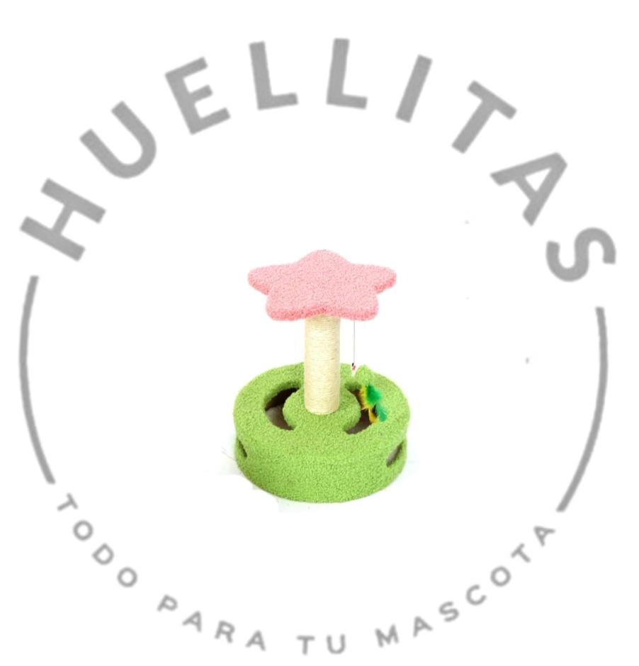 WhatsApp Image 2025-05-29 at 09.55.02