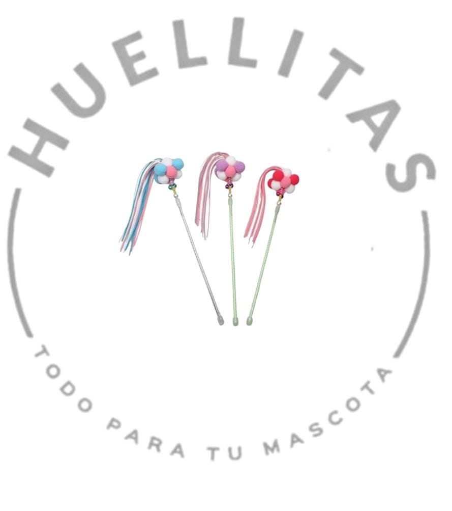 WhatsApp Image 2025-06-23 at 16.48.31