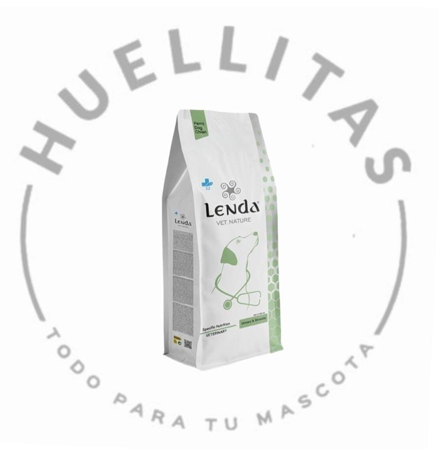 WhatsApp Image 2025-10-13 at 15.13.29