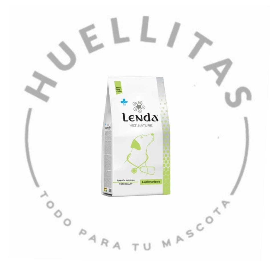 WhatsApp Image 2025-10-13 at 15.14.18