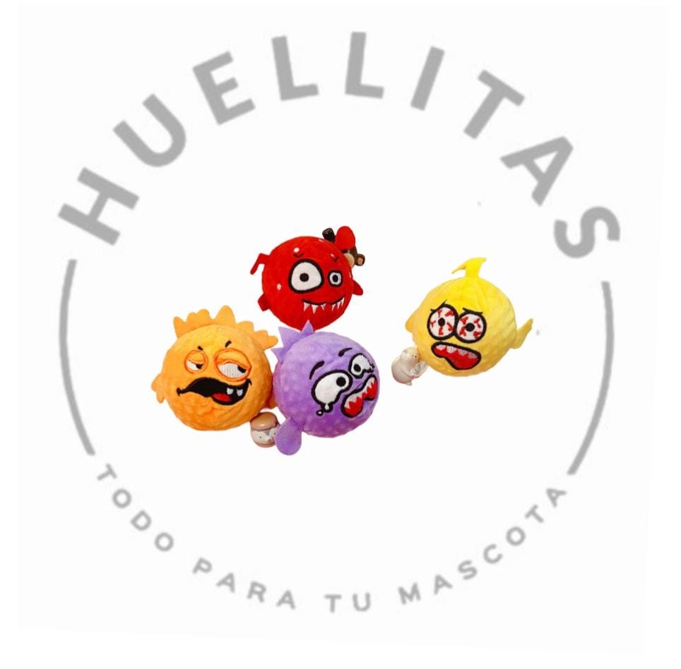 WhatsApp Image 2025-11-19 at 14.23.07