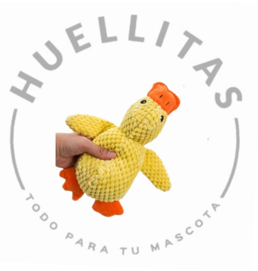 WhatsApp Image 2025-11-19 at 14.24.26