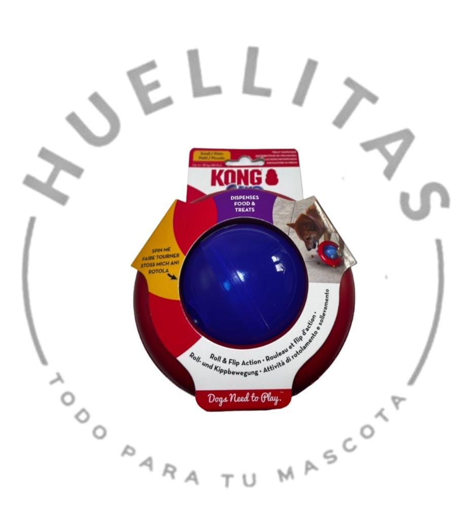 WhatsApp Image 2025-12-10 at 13.47.50 (1)