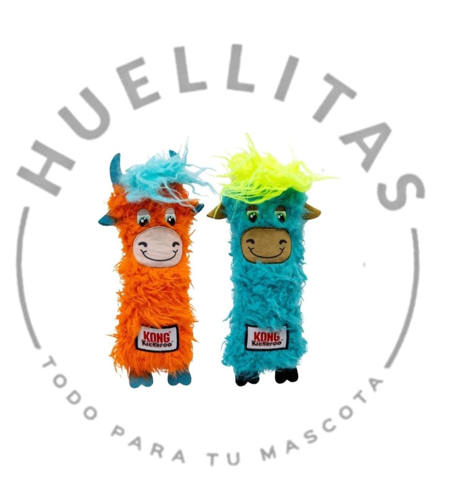 WhatsApp Image 2025-12-10 at 13.47.51 (1)