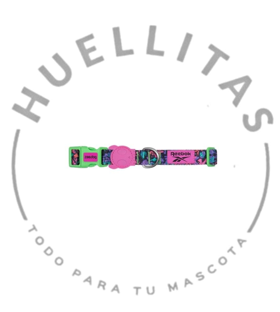 WhatsApp Image 2026-01-21 at 17.17.19