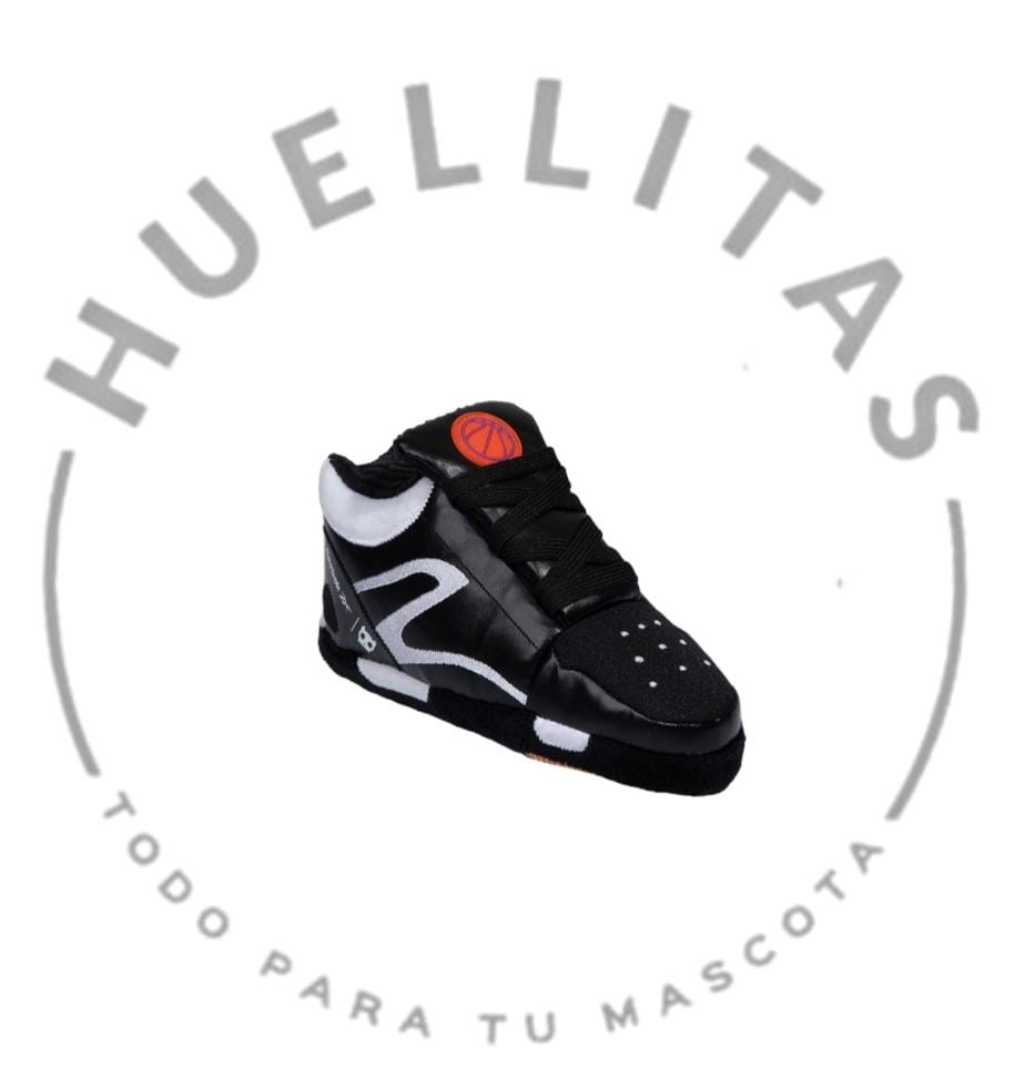 WhatsApp Image 2026-01-21 at 17.17.32